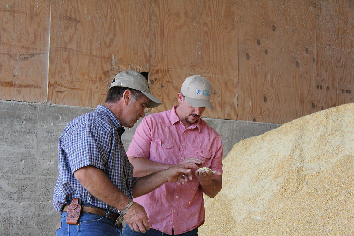 Rocky and Nathan examining feed ingredients at Del Rio Dairy.