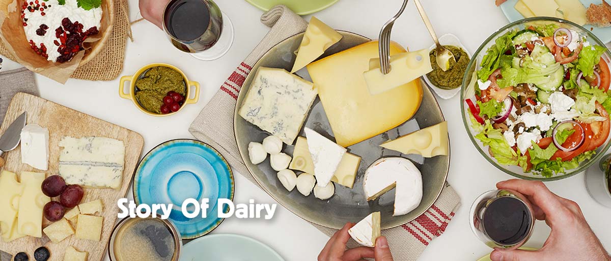 From the Farm to Your Fridge – the Story of Dairy
