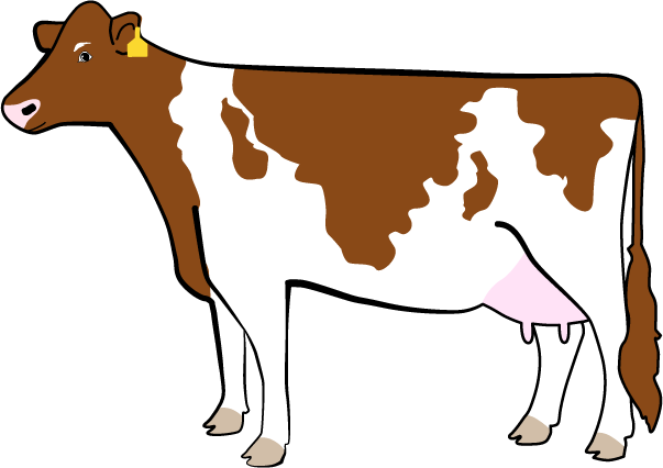 The Legendairy Cow