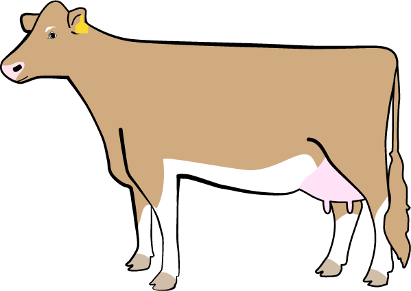 The Legendairy Cow