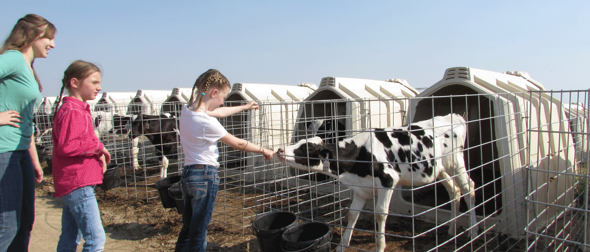 two girls and a woman petting a calf