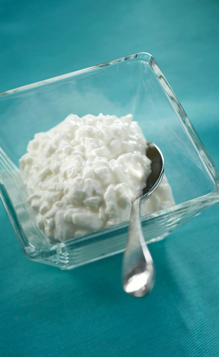 Everything You Need to Know About Cottage Cheese | cottage ...